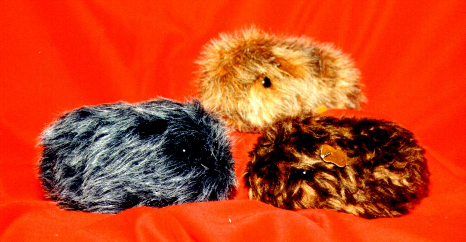 Stuffed Piggies by Penny!